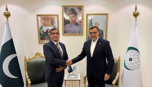 دیدار نماینده دائم جمهوری اسلامی ایران در سازمان همکاری اسلامی‌ با همتای پاکستانی خود