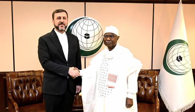 دیدار معاون حقوقی و بین المللی وزیر خارجه جمهوری اسلامی ایران با دبیر کل سازمان همکاری اسلامی